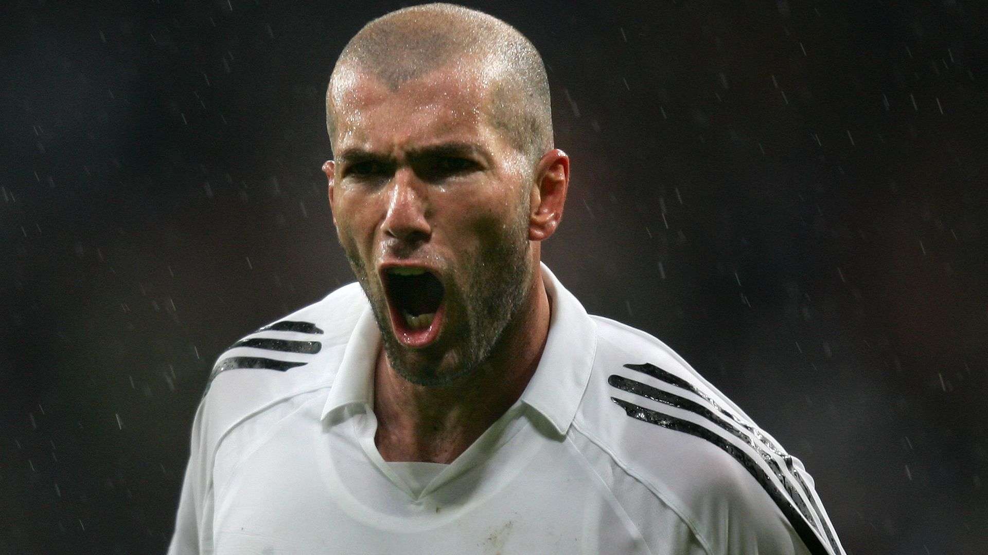 良好的聲譽 良好的聲譽